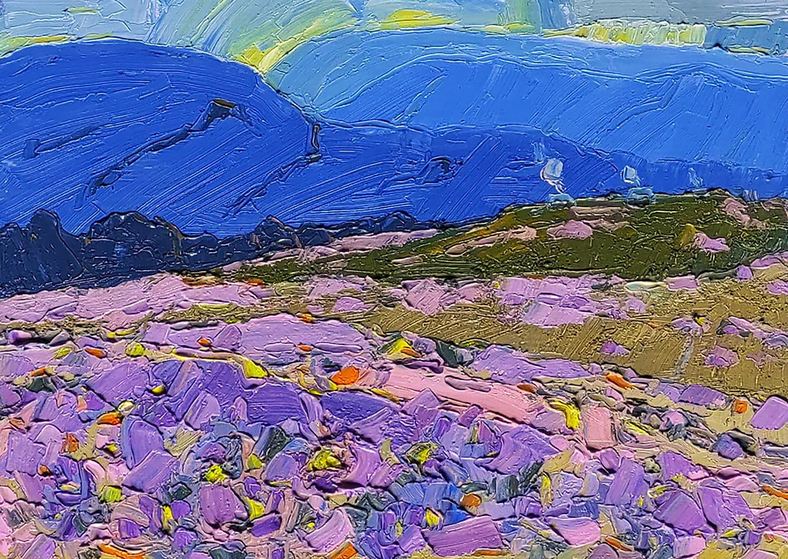 Oil painting Spring on a mountain meadow Yaroslav Savchyn