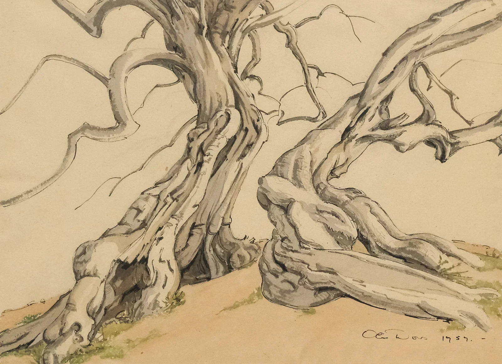 Olin Dows, Gnarled Trees