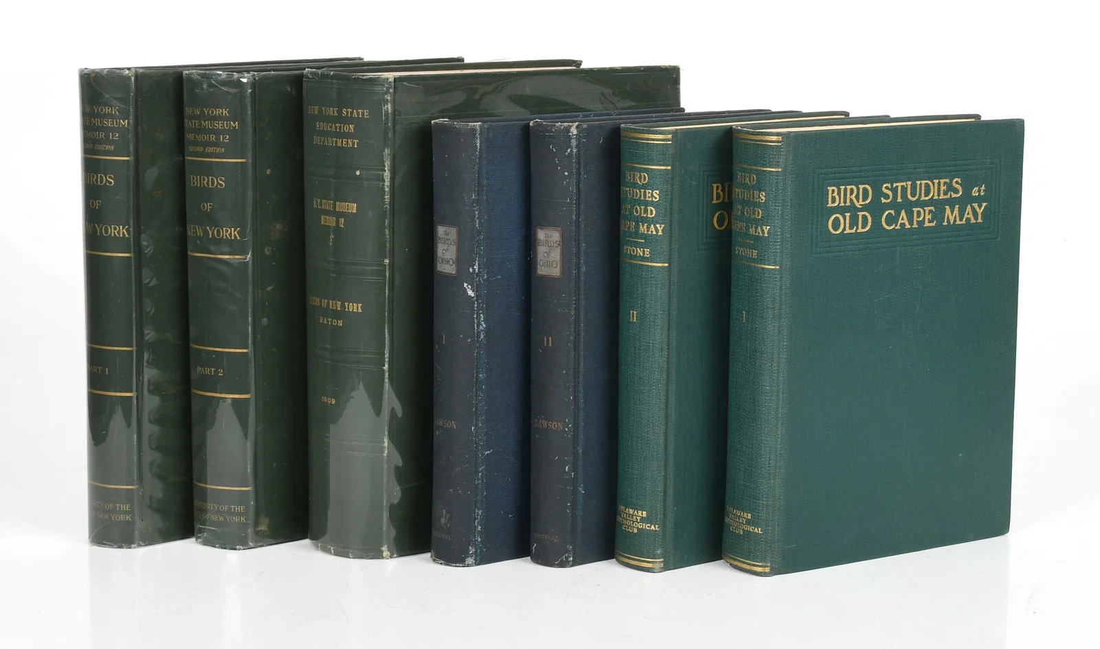 Ornithological Studies, Cape May, Ohio, and New York