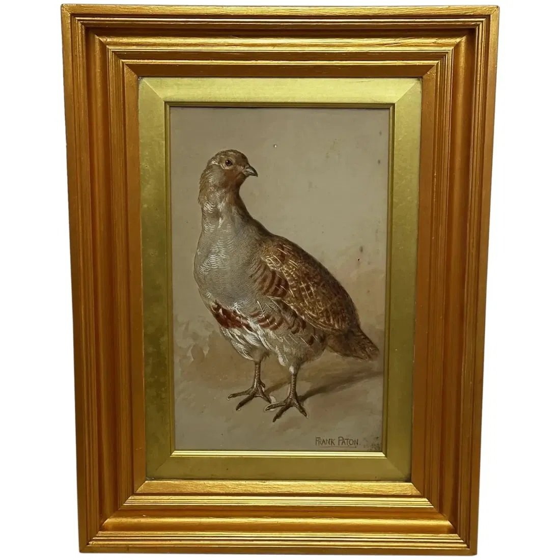 PARTRIDGE A STUDY VICTORIAN GAME BIRD PAINTING