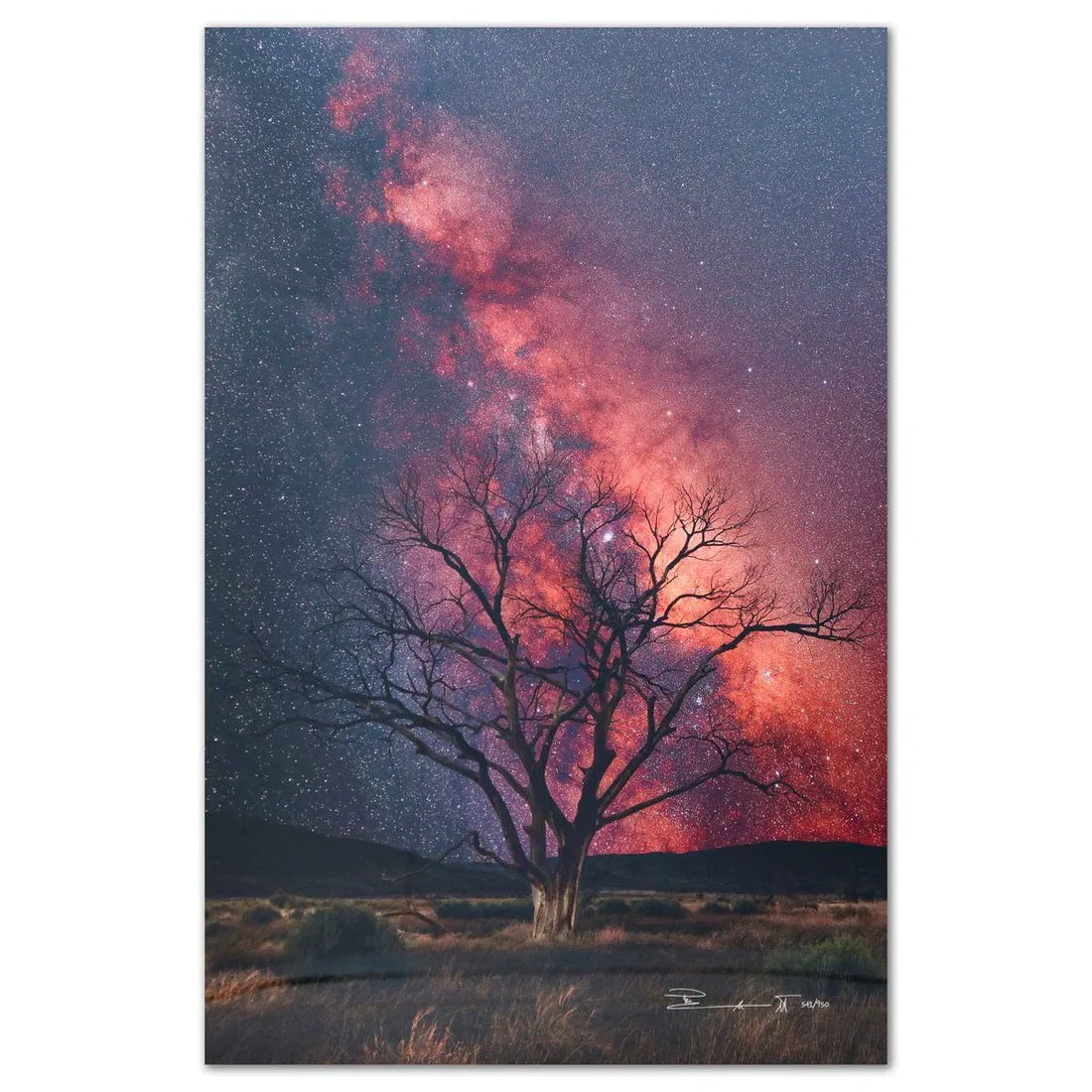 Peter Lik- Limited Edition Photograph "Stargazer"