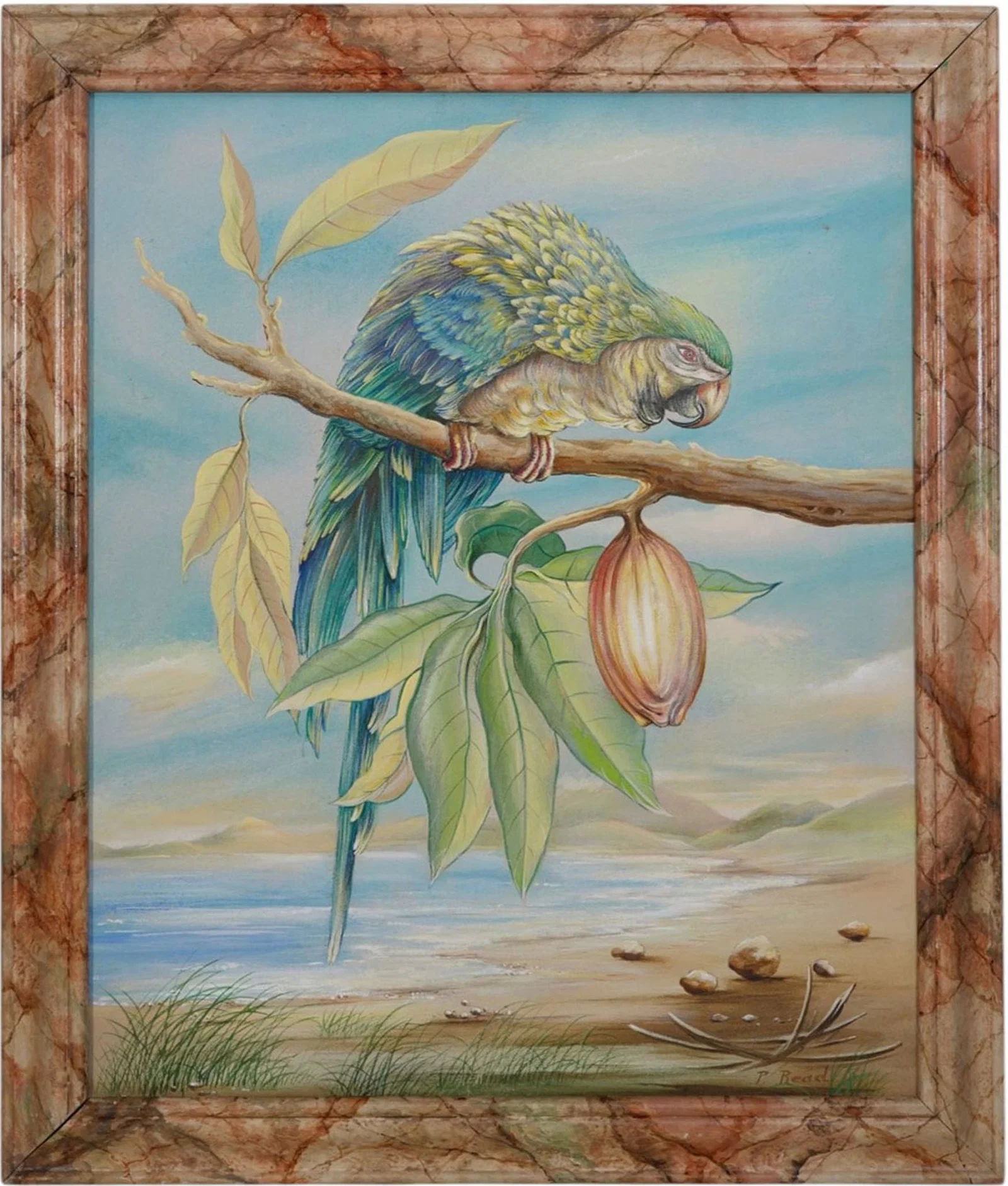 Philip Standish Read (American 1927-2000). Oil Painting on Canvas, Parrot on a Branch, 34 x 28