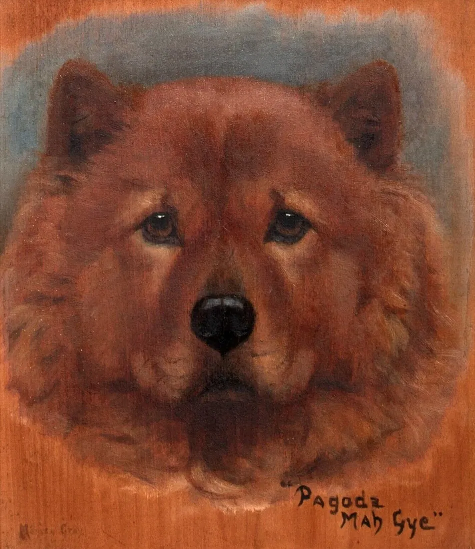 PORTRAIT OF A CHOW DOG CALLED PAGODA MAH GYE OIL PAINTING