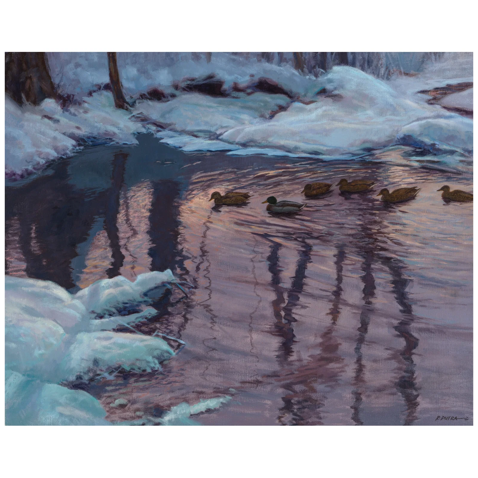 RANDAL M. DUTRA (BORN 1958) Winter Mallards 24 x 30 in.