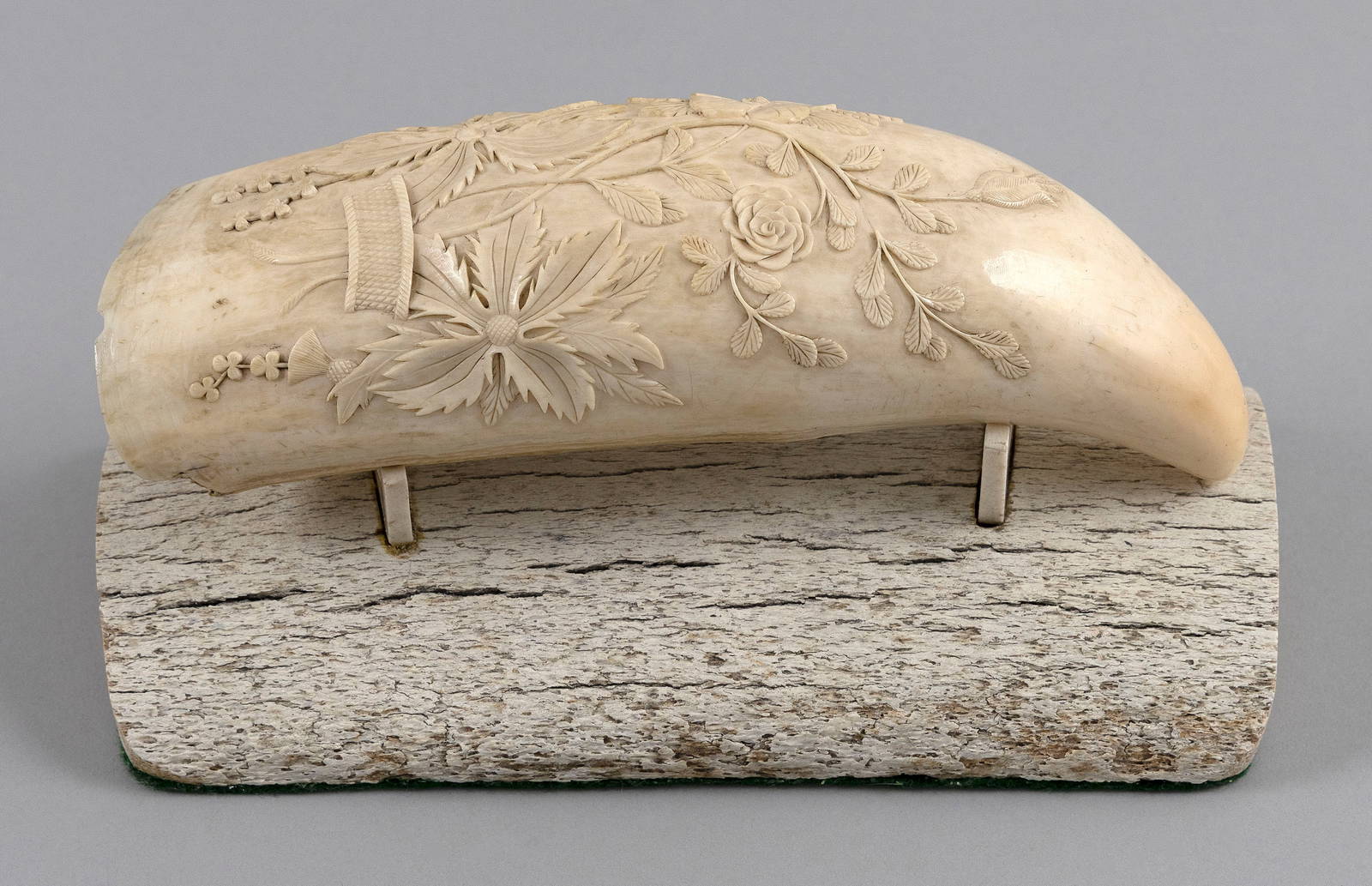 RARE SCRIMSHAW RELIEF-CARVED WHALE'S TOOTH 19th Century Length 7". Includes stand.