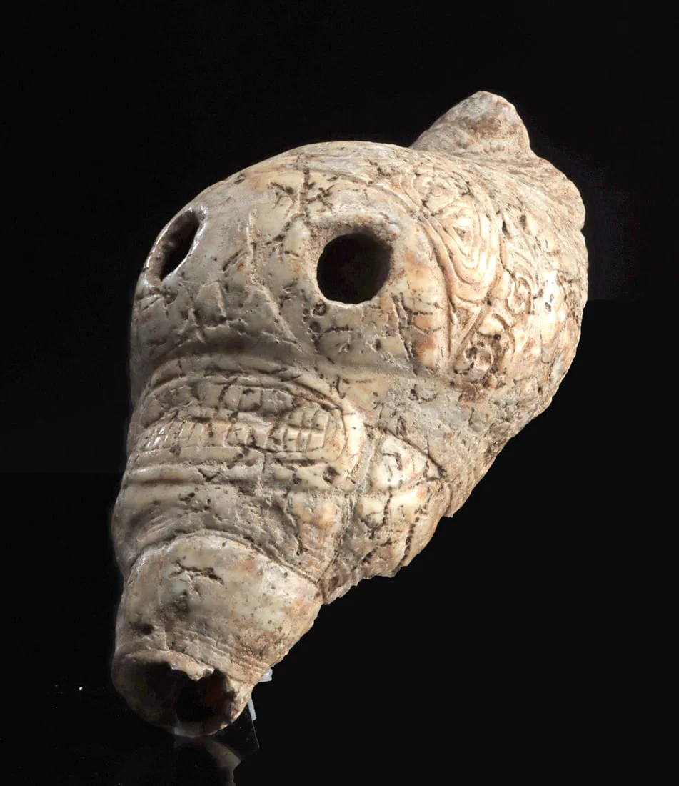 Rare Taino Shell, Carved Skull Face Effigy