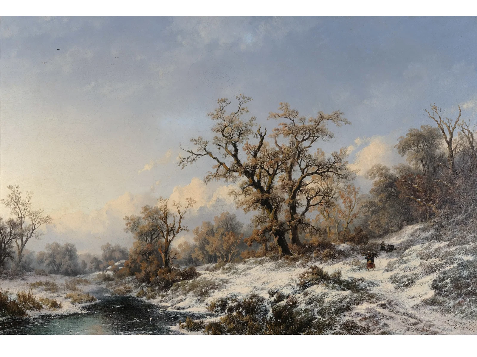 REMIGIUS ADRIANUS HAANEN, 1812 - 1894