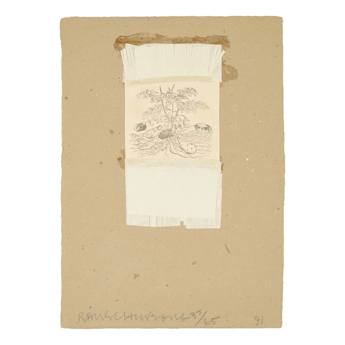 Robert Rauschenberg (American, 1925-2008) Untitled (from Shirtboards, Morocco, Italy '52 Portfolio),