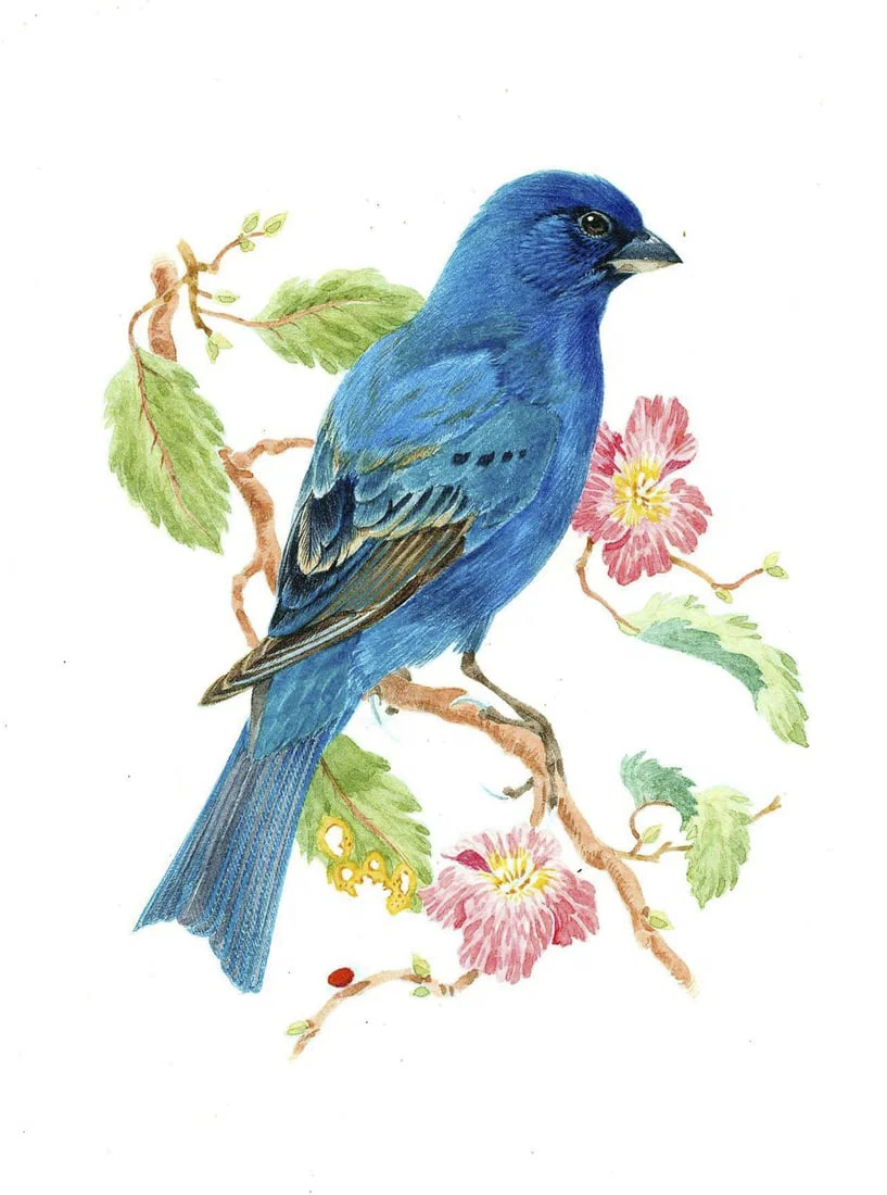 Robin Hill (VA,DC,UK,Australia,1932-?) watercolor painting