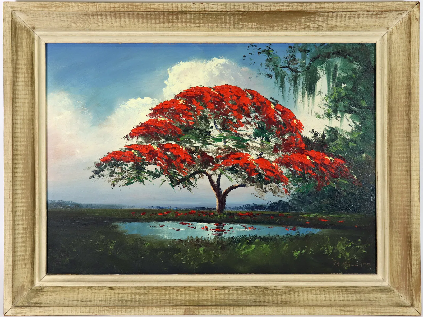 ROY MCLENDON FLORIDA POINCIANA TREE HIGHWAYMEN