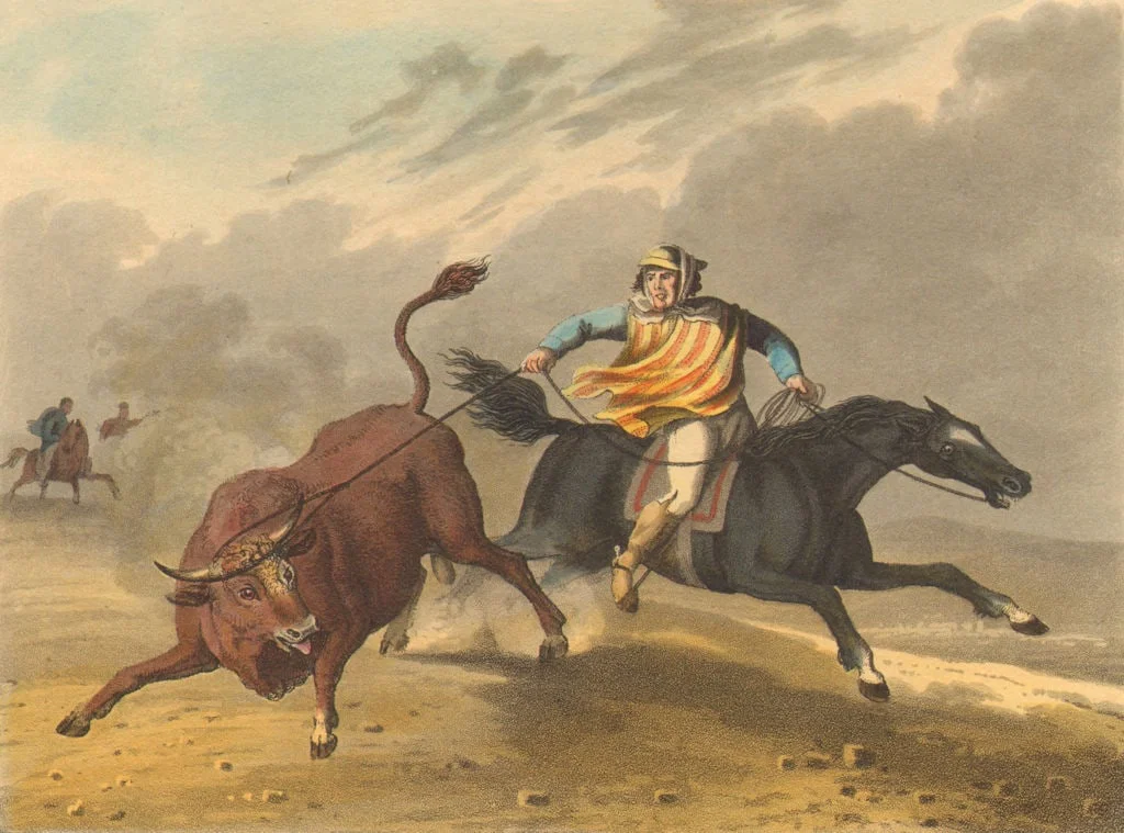 S AMERICA. Pion gaucho cowboy catching wild bull. Horse. (Edward Orme) 1814