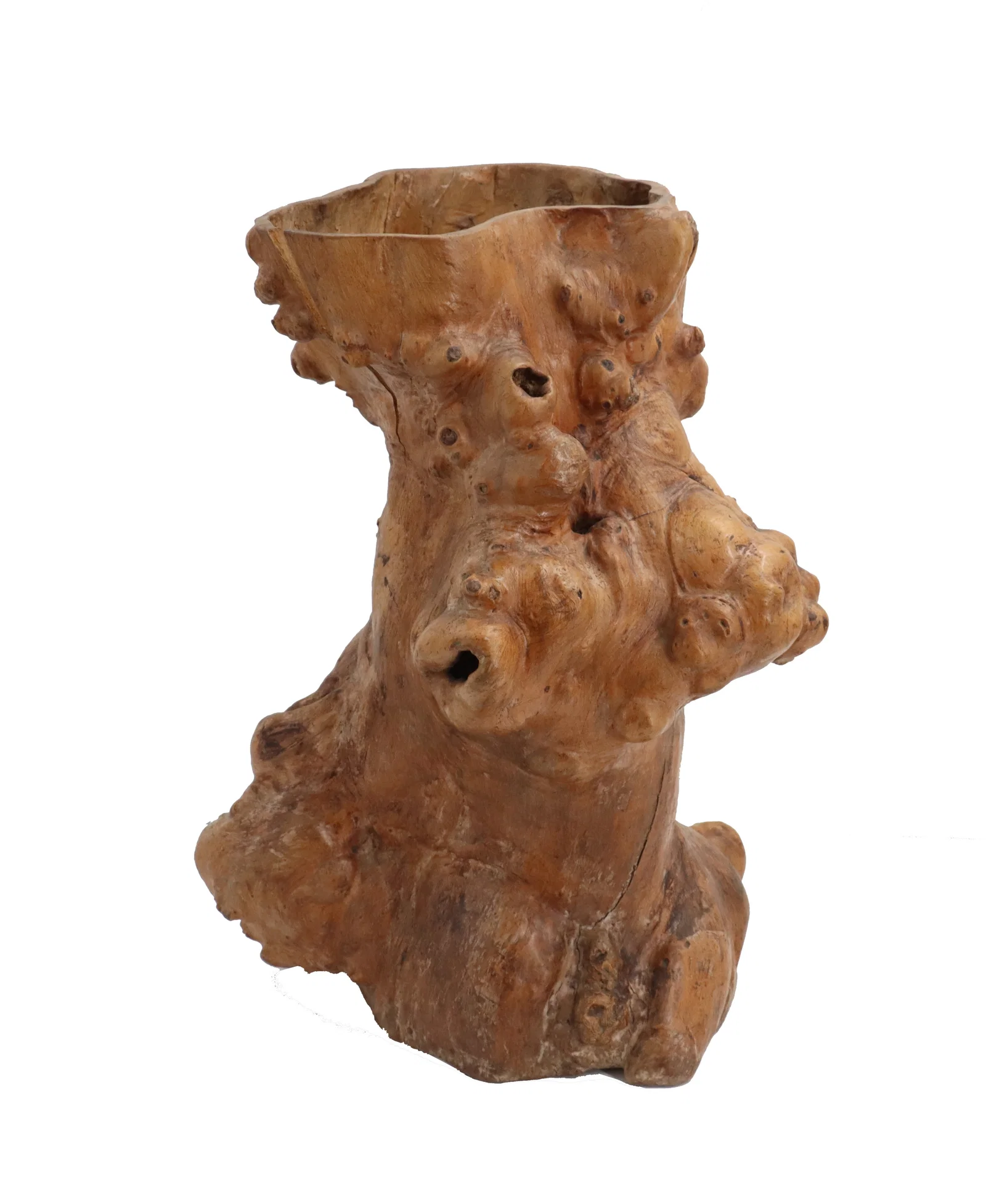 Scarce Japanese Burl Root Carved Sculpture