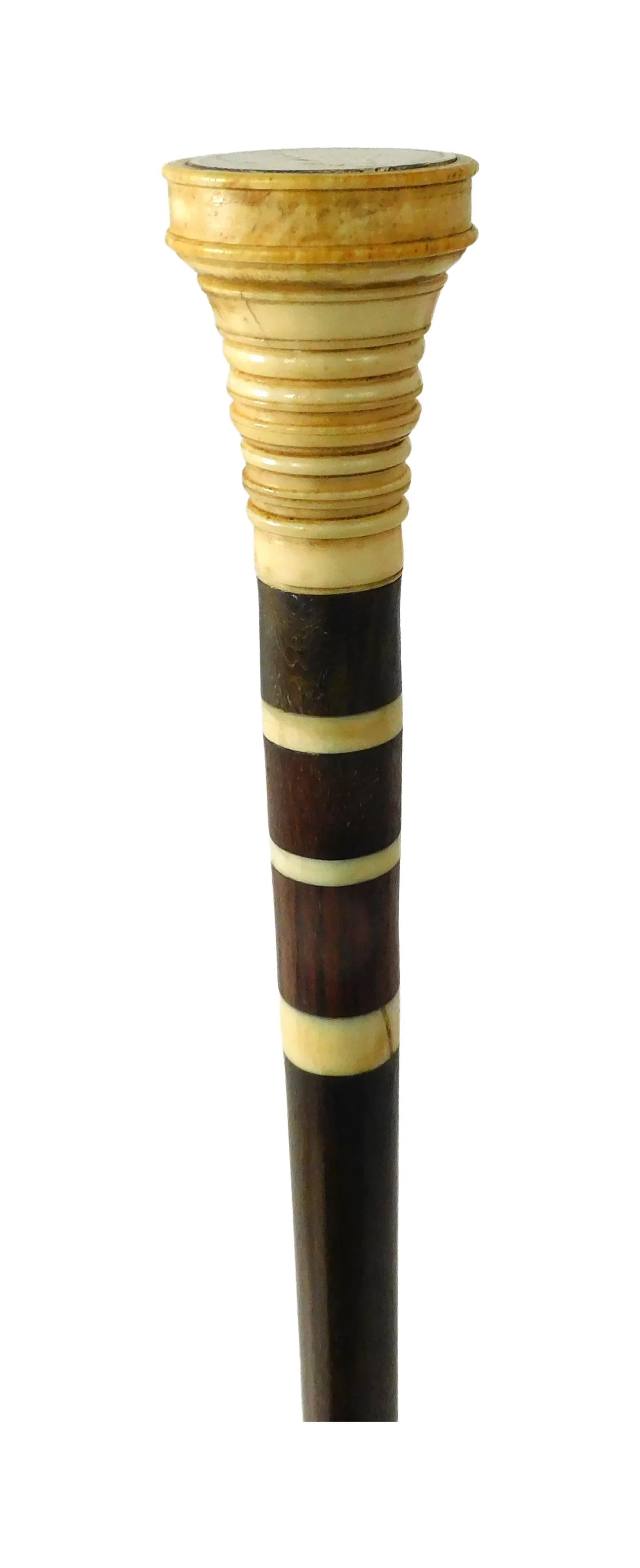 Scrimshaw Walking Stick