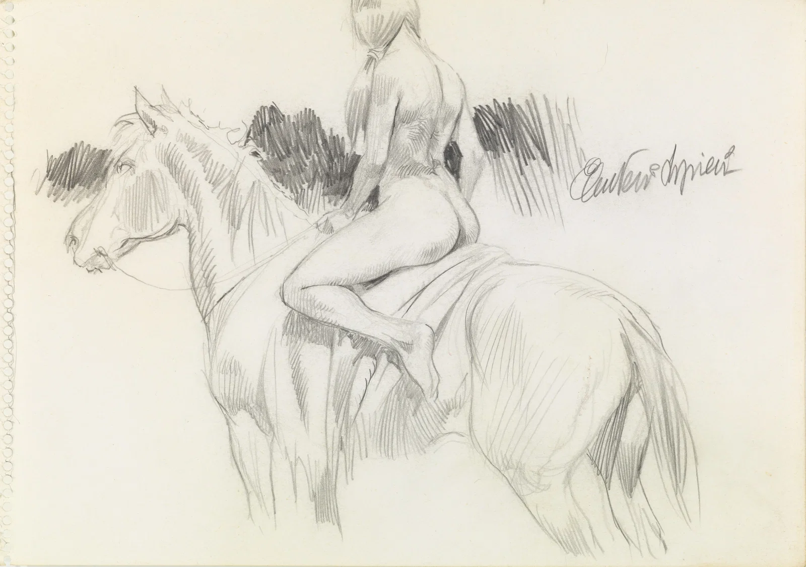 Serpieri Paolo Eleuteri - "Druuna a cavallo", anni 80