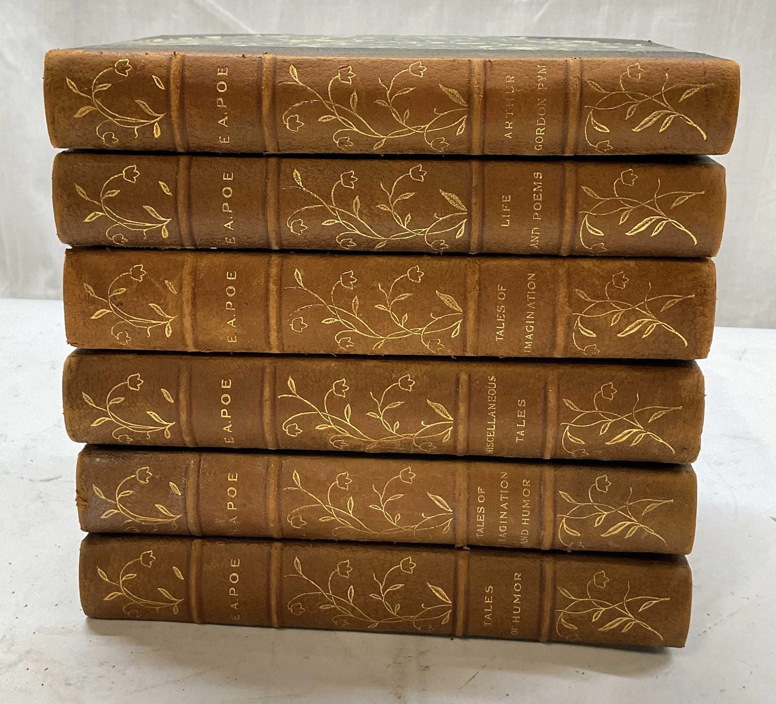 Set 6 1900s Edgar Allan Poe Tales Poems Illus Bks+