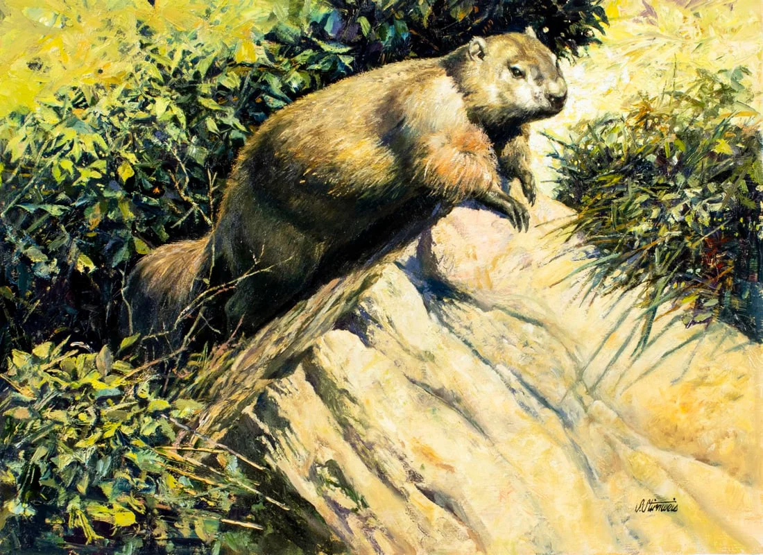 Shannon Stirnweis (AZ,NY,NH,OR,1931-2019) oil painting