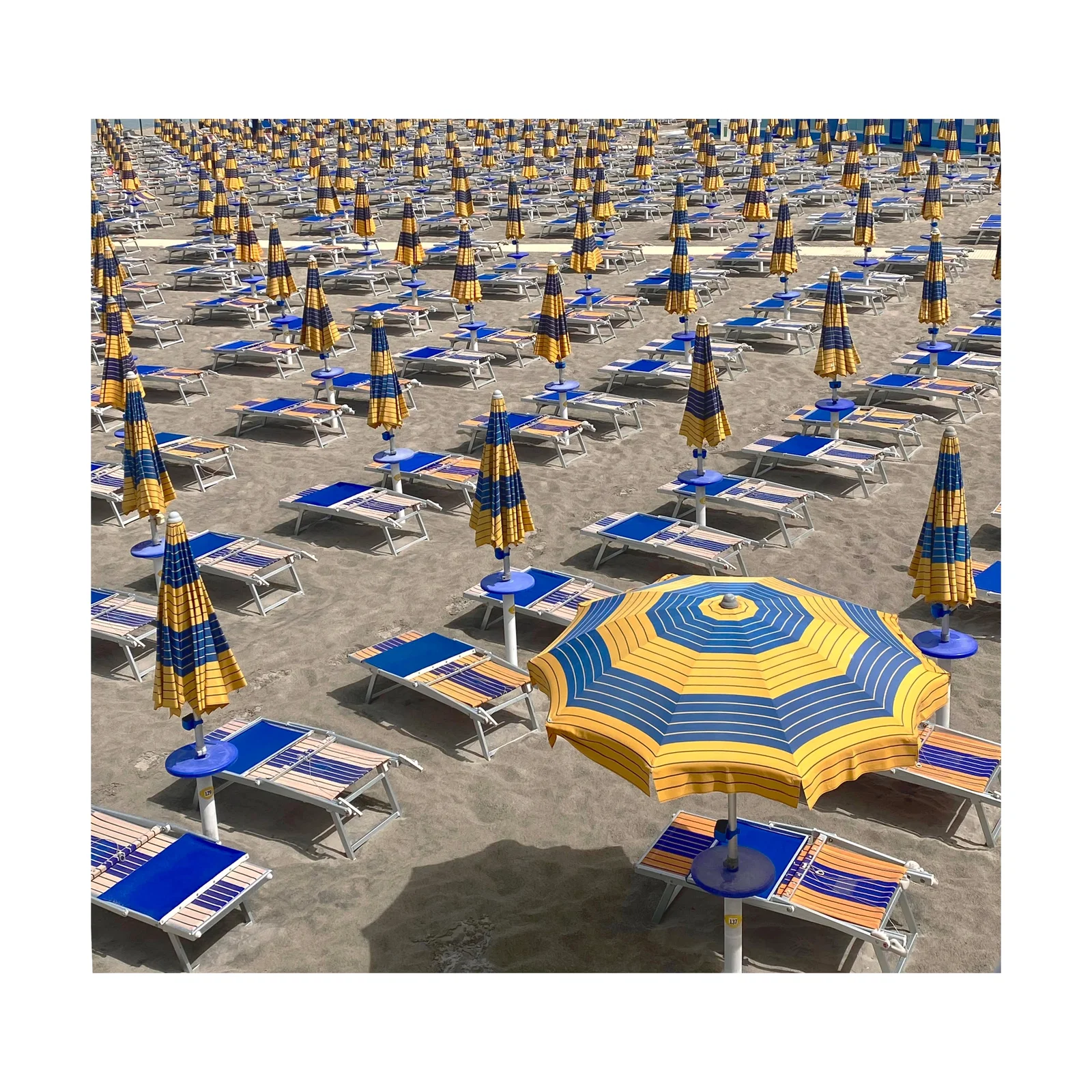 Sophie Carroll, Overcast