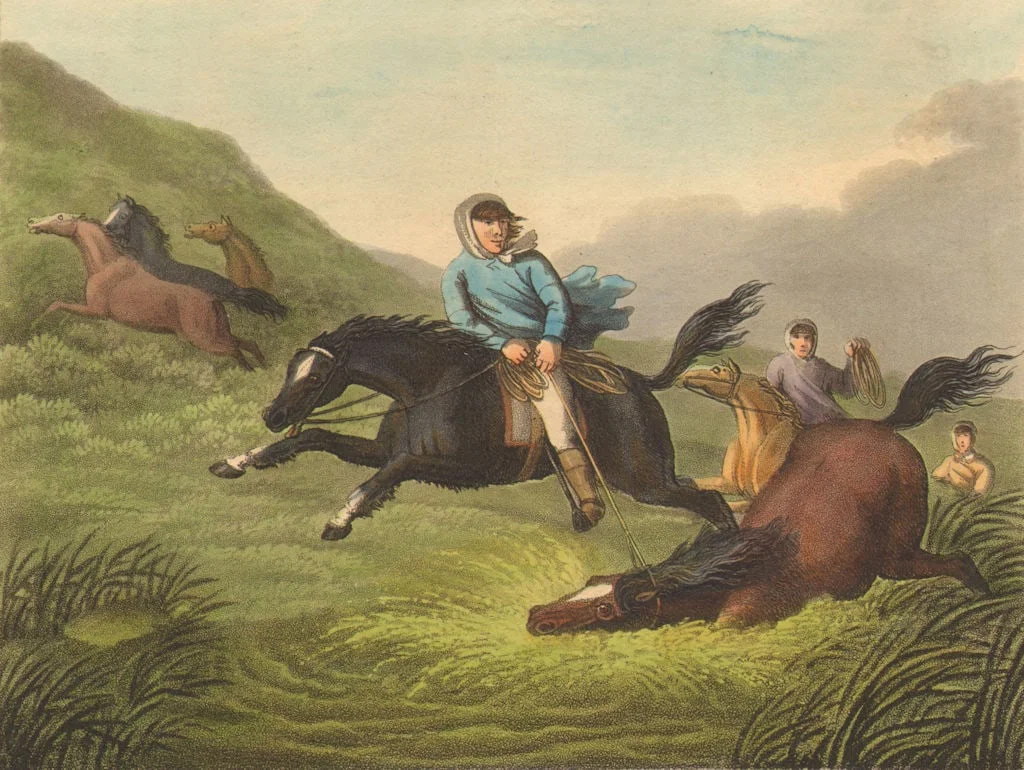 SOUTH AMERICA. Pions Gauchos Cowboys catching Wild Horses (Edward Orme) 1814