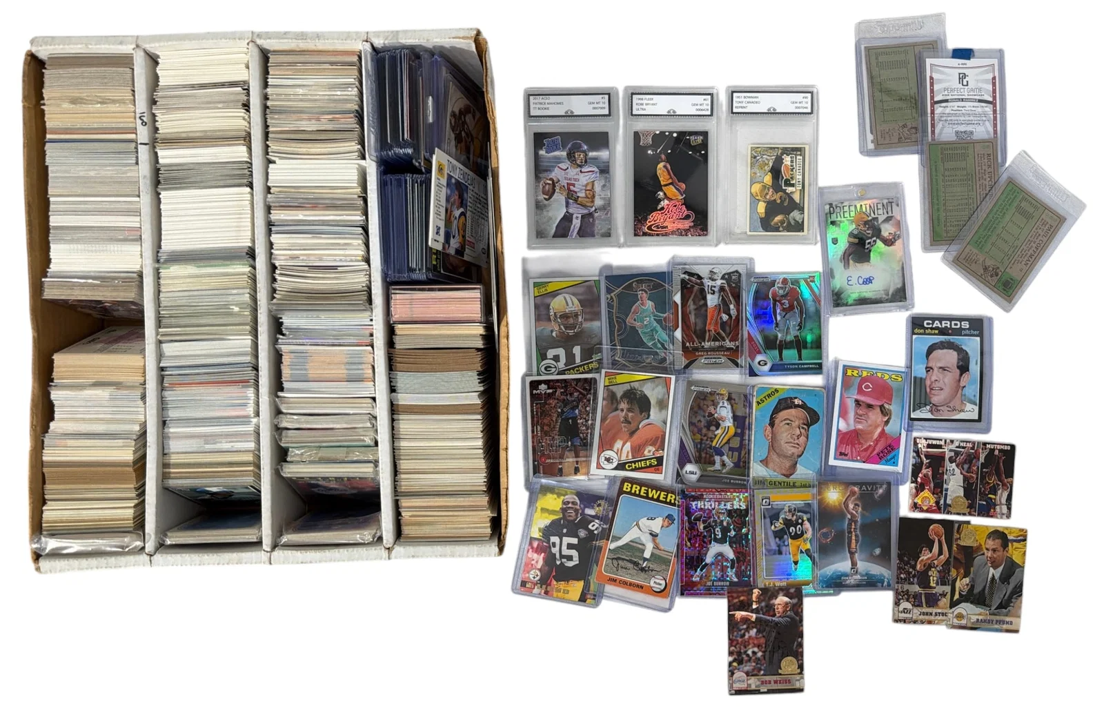 Sport Trading Card Collection