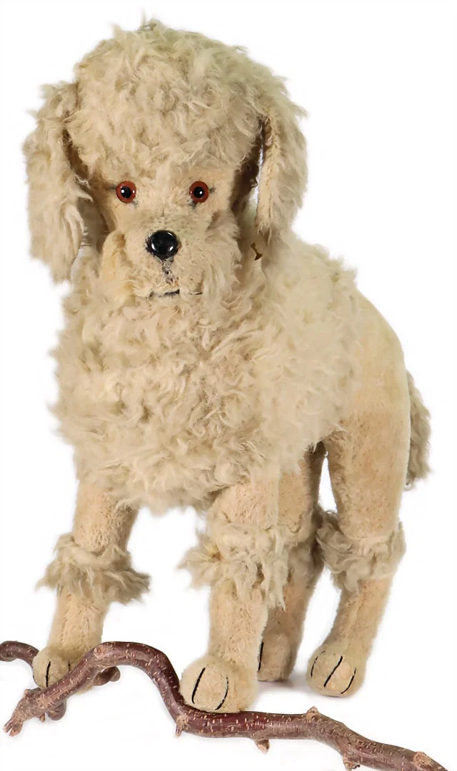STEIFF poodle, produced in 1947, with button, printed letters, yellow flag No.: 1550,02, glass eyes,