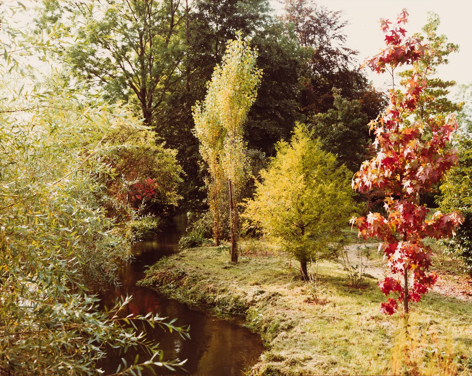 Stephen Shore. Giverny, France. September 23, 1977; printed 1980.