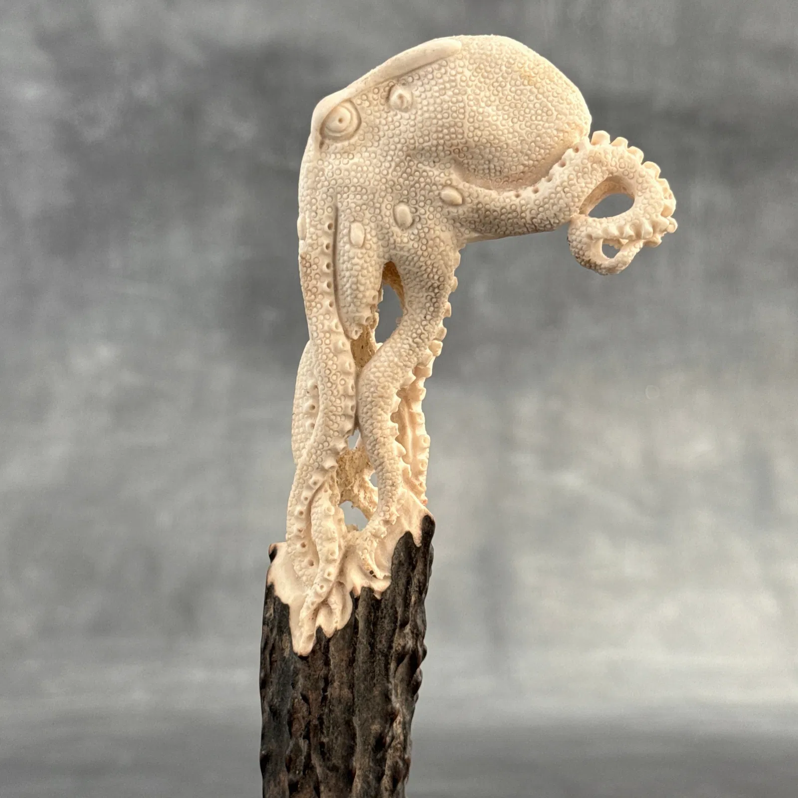 Stunning carved deer antler with stand - Octopus carving