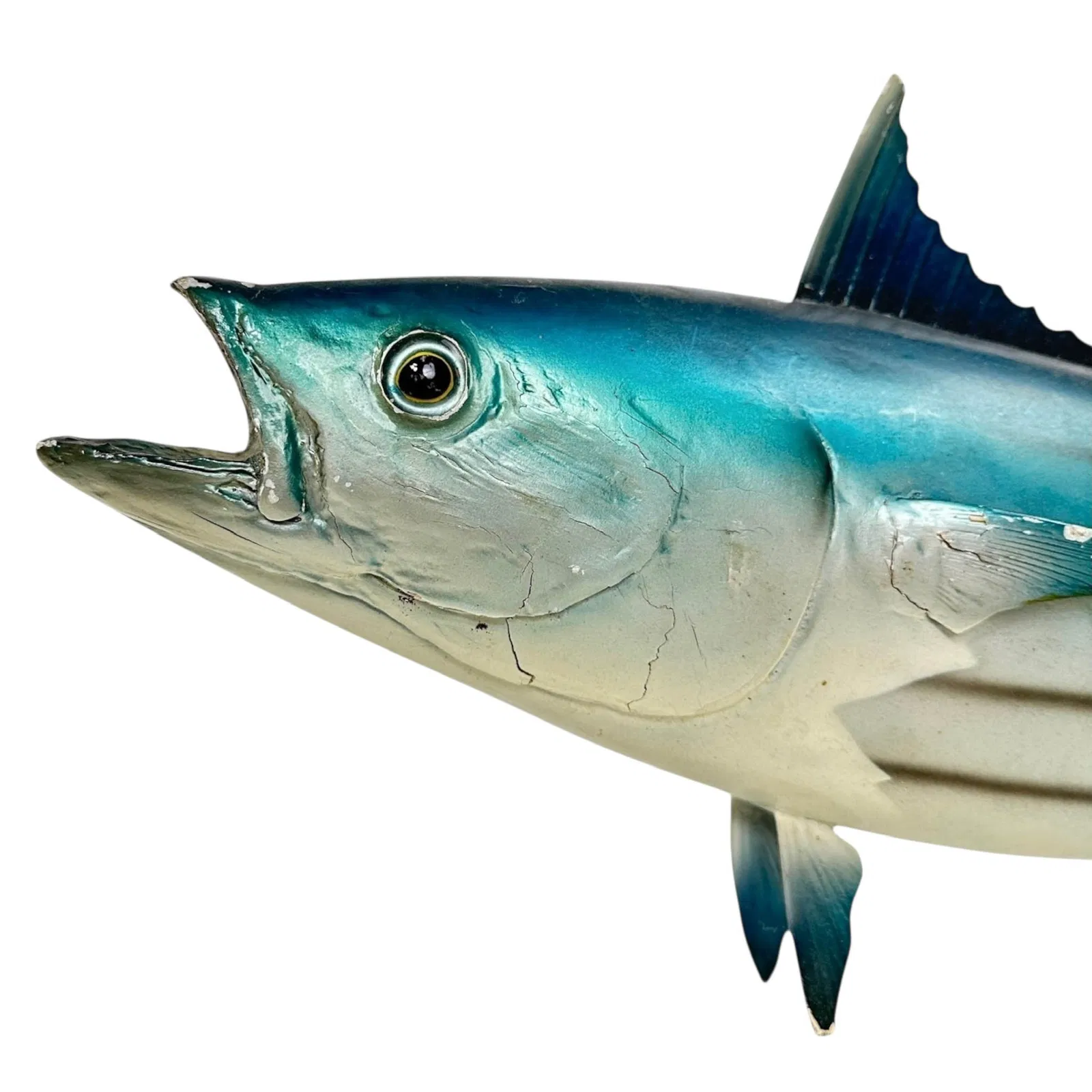 Taxidermy Trophy Fish