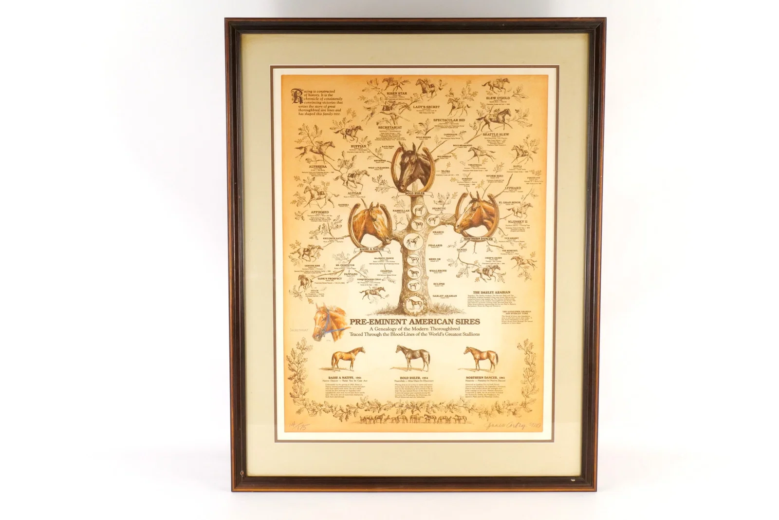 Thoroughbred Genealogy Lithograph by Jenness Cortez