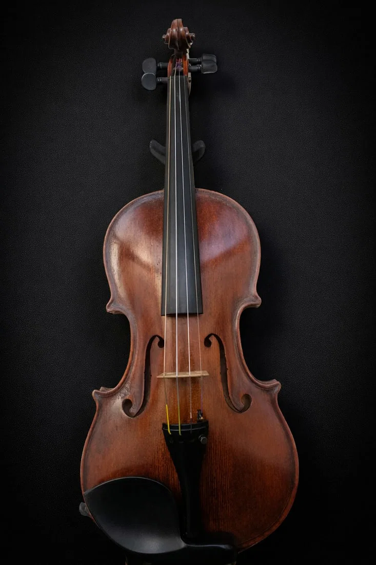 Turin-made violin with certificate from master luthier Tonino Boga, Italy, 20th century