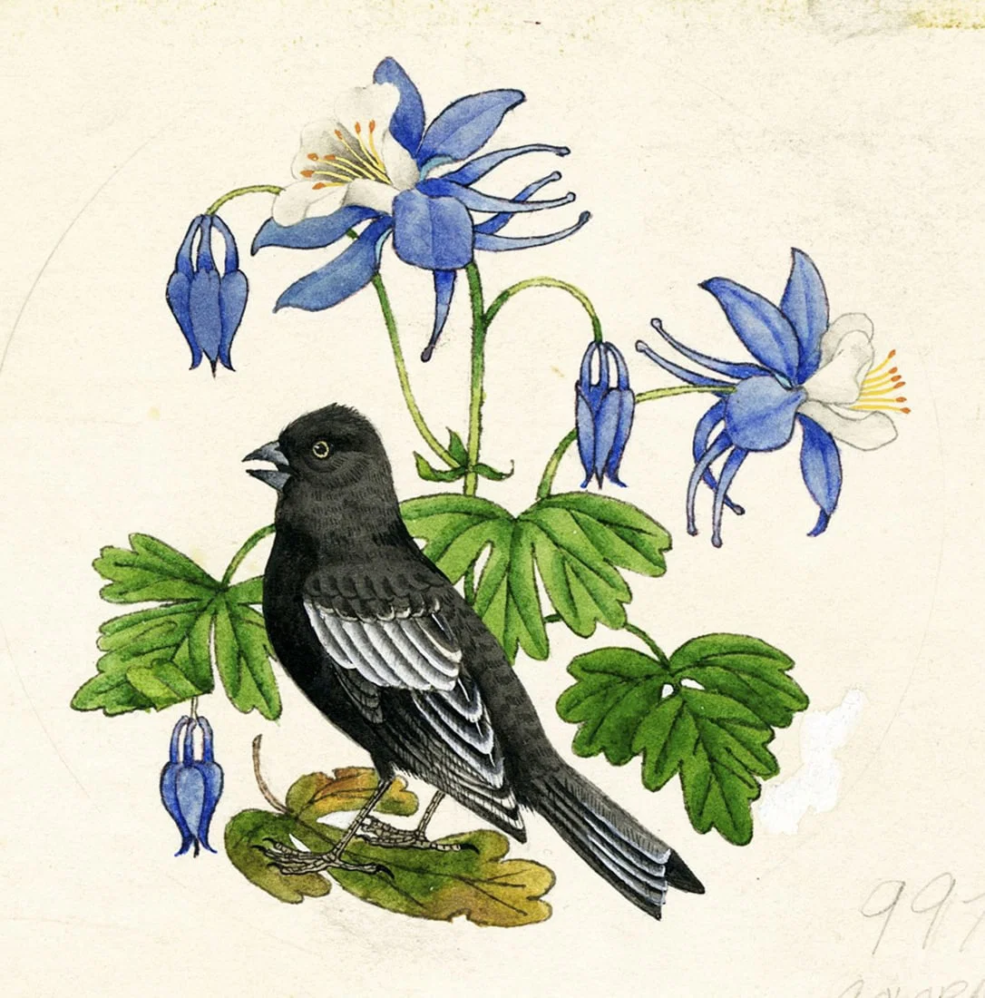 Vintage 20C American watercolor painting