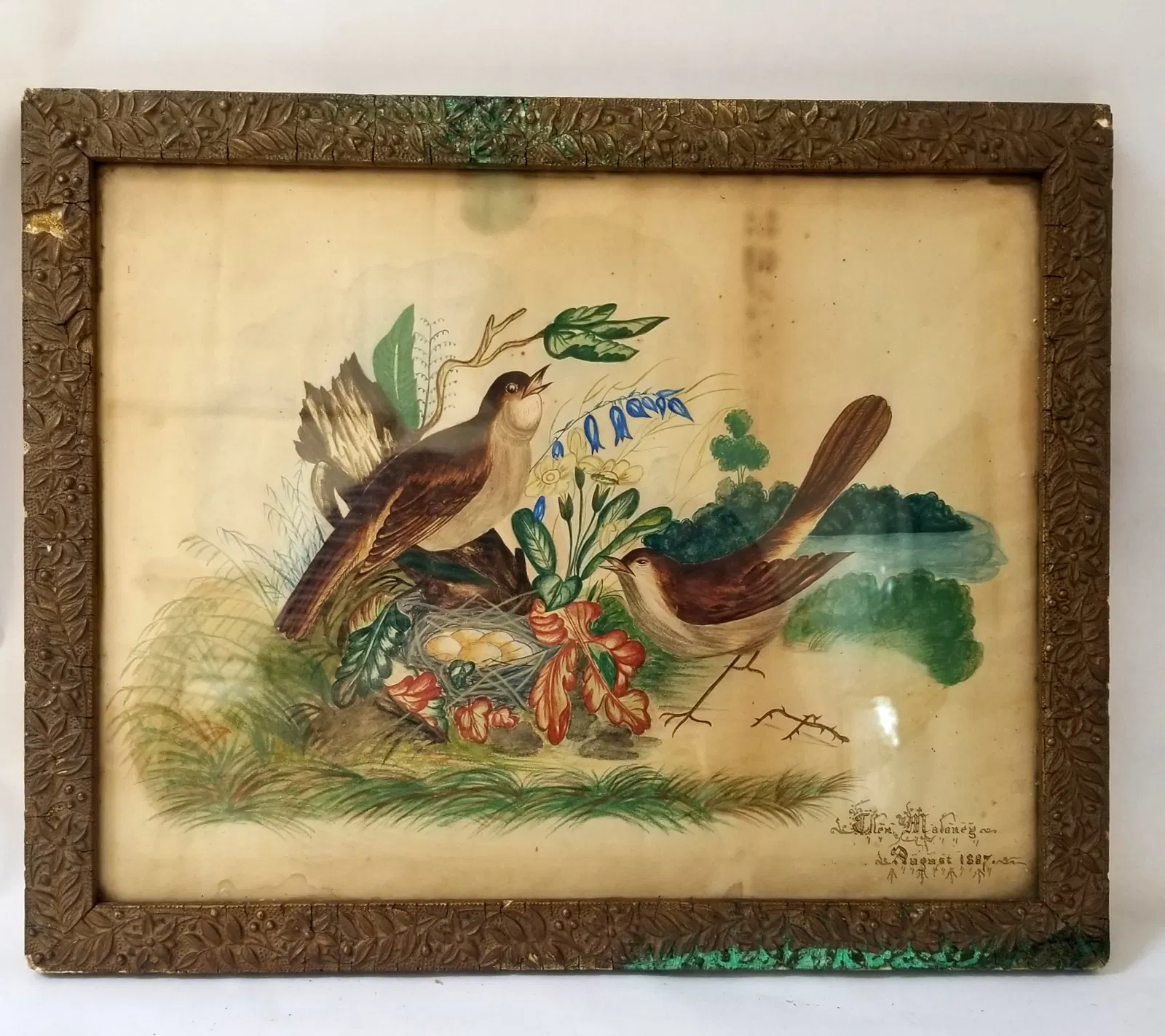 Watercolor of birds, flowers, a nest with eggs