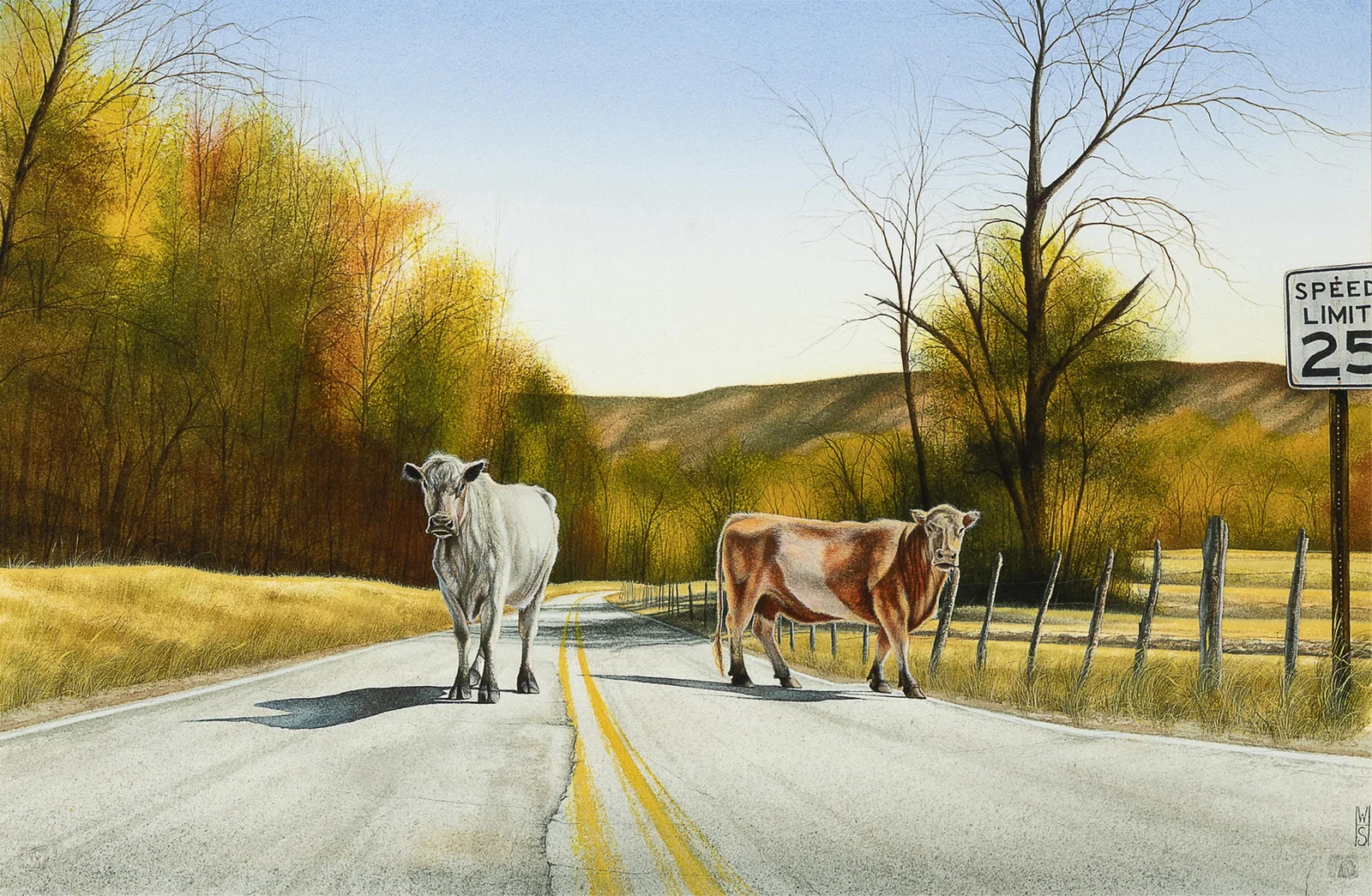William Haskell, Untitled (Cows in the Road), ca. 2008