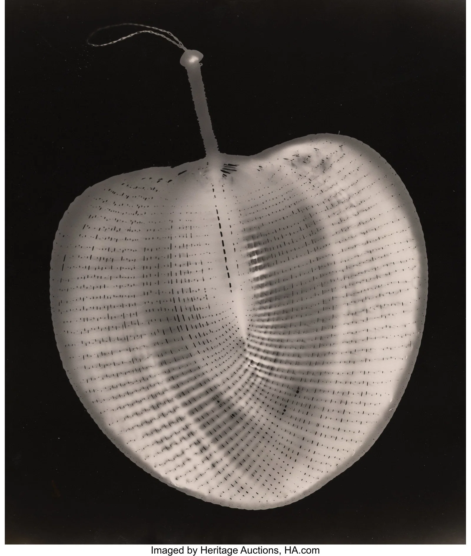 Willy Ronis (French, 1910-2009) Untitled, circa