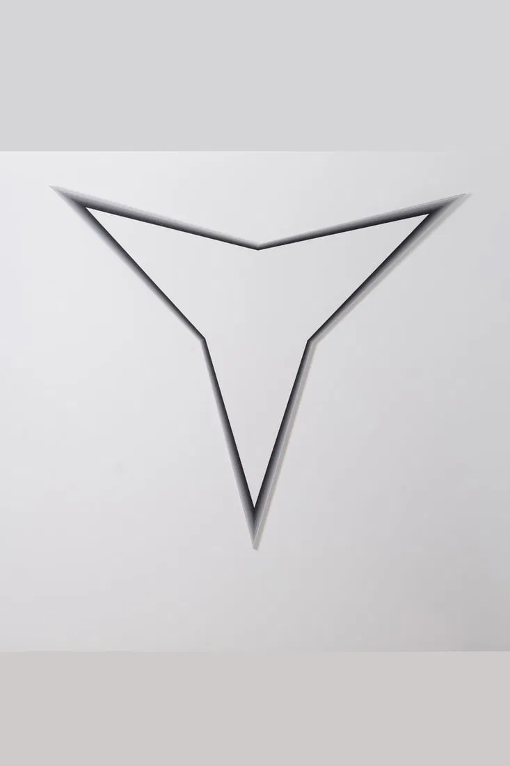 x Philippe Decrauzat (born 1974) Anti Illusion, 2013