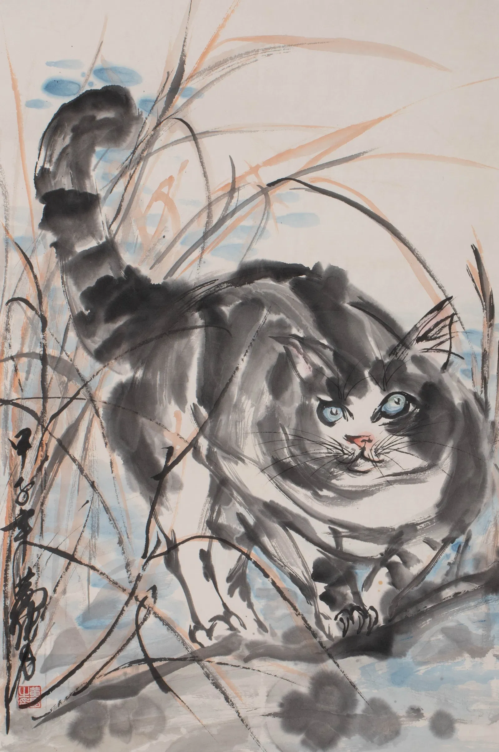 Yellow cat