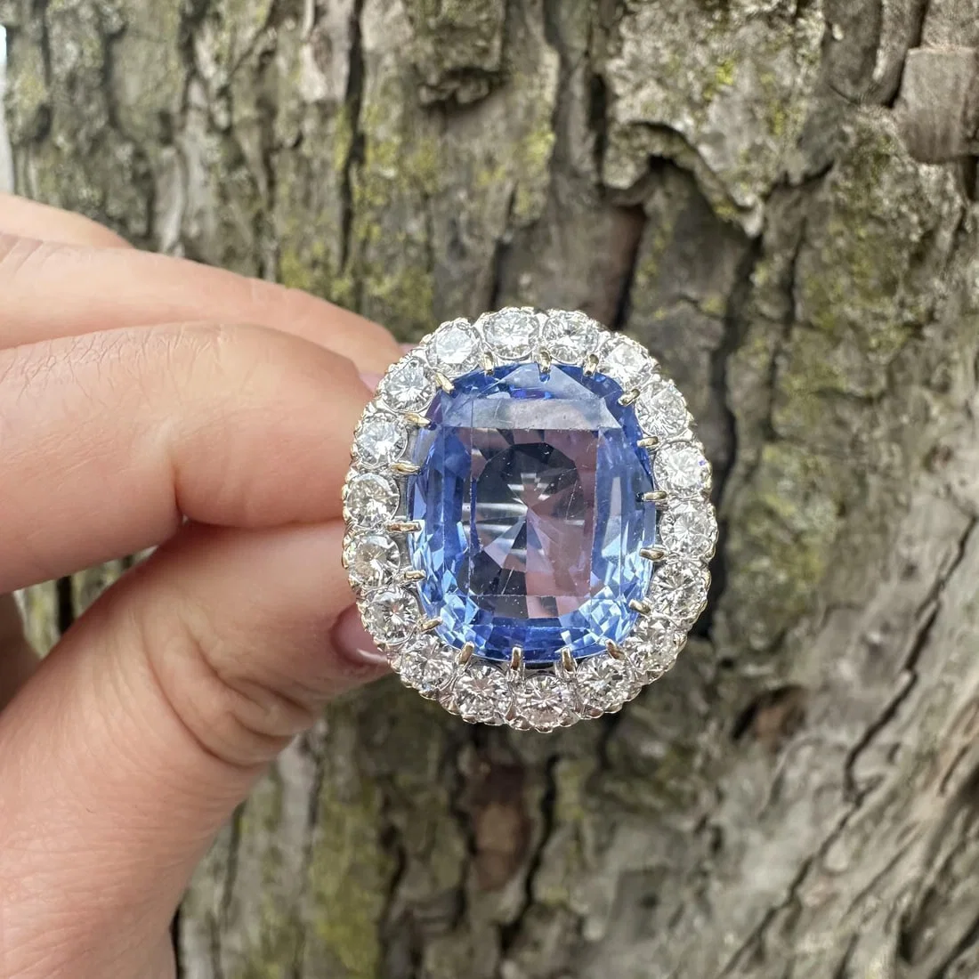 Yellow Gold Ring with GIA Ceylon No Heat Blue Sapphire and Diamond Halo 24.79ctw