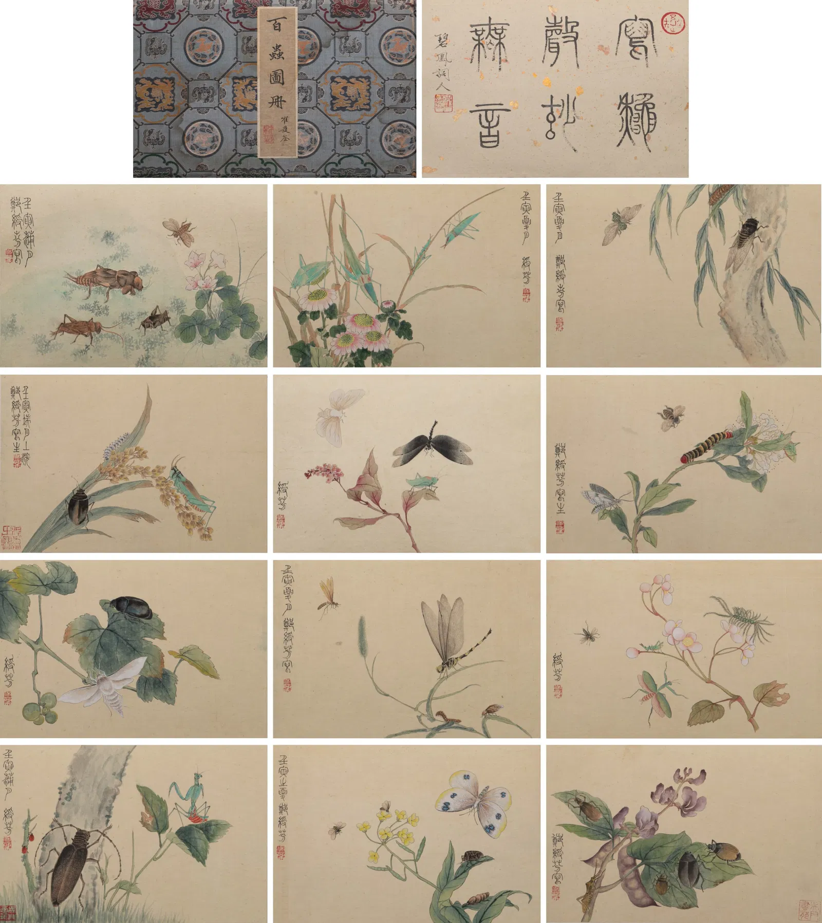 Zheng Shoufen's meticulous grass and insect album